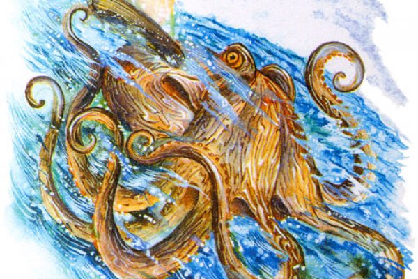 Kraken 18