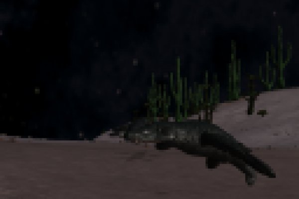 Kra36.cc