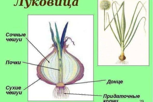 Kraken shop ссылка