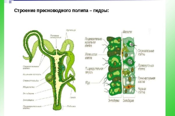 Что такое кракен маркет