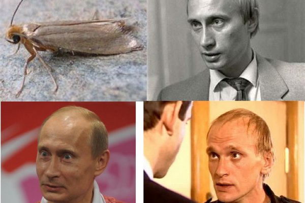 Кракен актуальная ссылка на сегодня