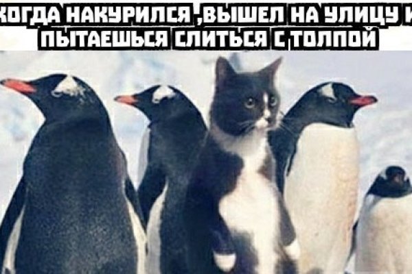 Как зайти на в топ браузере