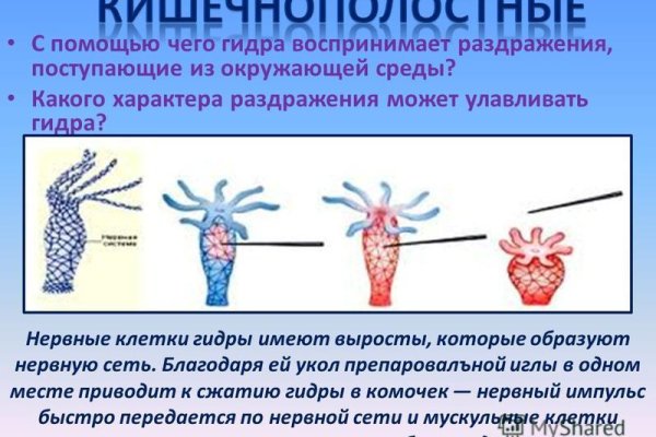 Даркнет сайт скачать