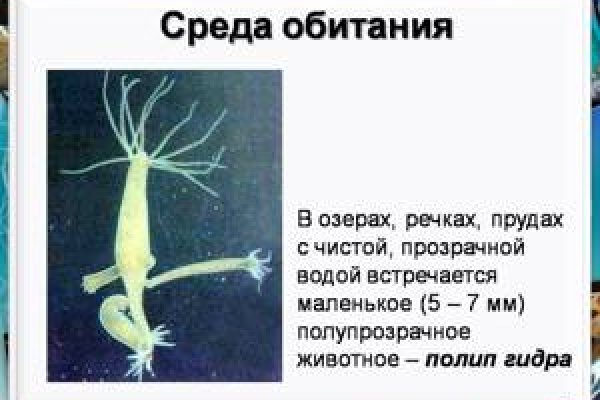 Зайти в кракен