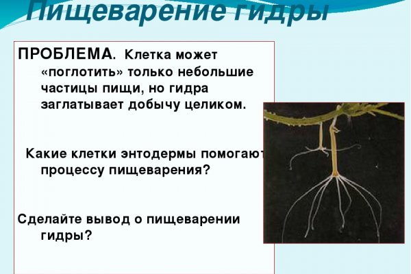 Кракен зеркало на сегодня