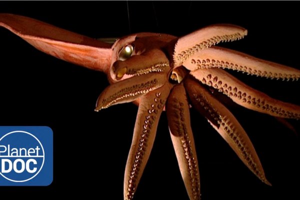 Кракен сайт официальный kraken clear com