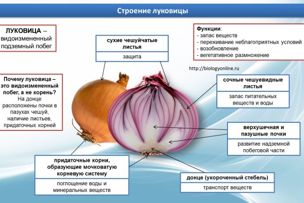 Кракен даркнет лол